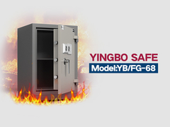 YB/FG-68 hộp an toàn chống cháy màu kép